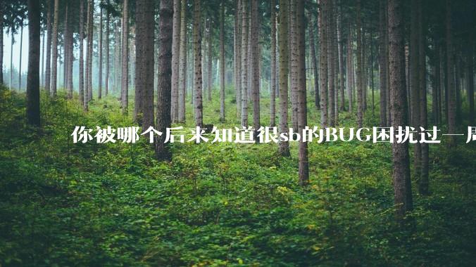 你被哪个后来知道很sb的BUG困扰过一周以上吗？