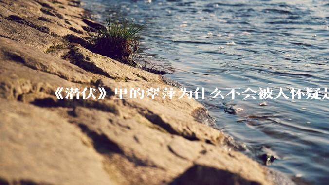 《潜伏》里的翠萍为什么不会被人怀疑是卧底？